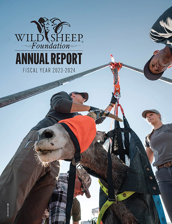 WSF Annual Report Cover FY 2023-2024